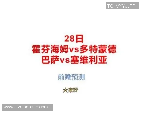 西甲精彩对决多特蒙德逆转里昂全场沸腾数据深度解析