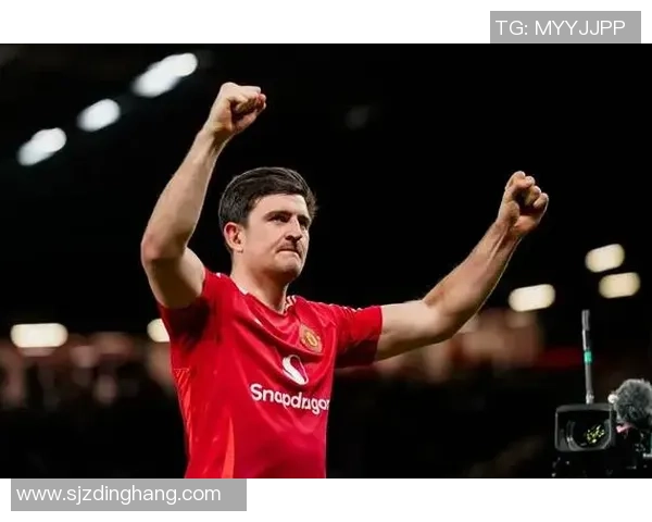 欧联杯惊天逆转里昂6比2大胜利物浦全场沸腾数据分析揭秘 欧联杯惊天逆转里昂6比2大胜利物浦全场沸腾数据分析揭秘