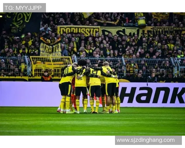 德甲精彩对决多特蒙德绝杀热刺全场沸腾回顾集锦 德甲精彩对决多特蒙德绝杀热刺全场沸腾回顾集锦